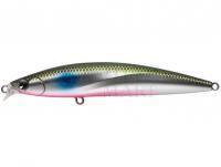 Sea lure IMA iBORN 98F Shallow 98mm 13g - #015