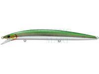 Hard Lure Athlete 17SSV | 17cm 30g - CGY