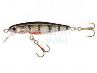 Hard Lure Jaxon Holo Select Manga 5cm 8g Suspending - OK