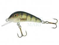 Hard Lure Jaxon Holo Select Senso 55F 5.5cm 5.7g - OF