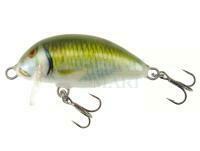 Hard lure Kenart Chubby 4cm 3.5g - GF
