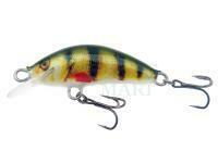 Lure Kenart Winner 2,5cm PG