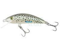 Lure Kenart Winner 4,5cm WT