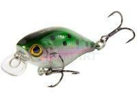 Hard Lure Lucky John Chubby 4F - 028