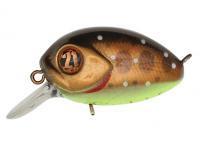 Hard Lure Pontoon21 Baby Red Rag 32F SR | 32mm 4.8g - 729 Alumina CB Iwana