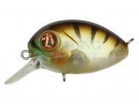 Hard Lure Pontoon21 Baby Red Rag 32F SR | 32mm 4.8g - 807 MI Perch