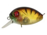 Hard Lure Pontoon21 Baby Red Rag 32F SR | 32mm 4.8g - 837 MI Gold Perch