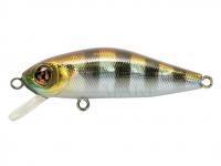 Wobler Pontoon21 Crackjack 58SP MR - 007 Crash HG Gill