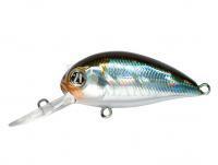 Hard Lure Pontoon21 Hypnose 38F MDR | 38mm 4g - 005 Crash HG Wakasagi