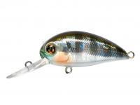 Hard Lure Pontoon21 Hypnose 38F MDR | 38mm 4g - 007 Crash HG Gill