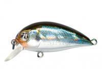 Hard Lure Pontoon21 Hypnose 38F SR | 38mm 3.7g - 005 Crash HG Wakasagi