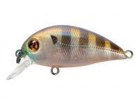 Hard Lure Pontoon21 Hypnose 38F SR | 38mm 3.7g - 108 Ghost Gill