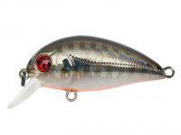 Hard Lure Pontoon21 Hypnose 38F SR | 38mm 3.7g - 211 Dark Side OB