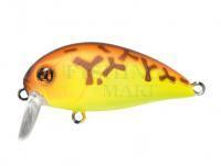 Hard Lure Pontoon21 Hypnose 38F SSR | 38mm 3.8g - 075 Chartreuse Brown
