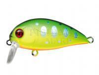 Hard Lure Pontoon21 Hypnose 38F SSR | 38mm 3.8g - R10 Chartreuse Yamame Tiger