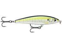 Lure Rapala X-Rap Magnum Prey 10cm 41g - PLD Pilchard