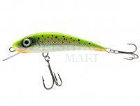 Hard Lure River Custom Baits Fury 7 cm 6g - T017