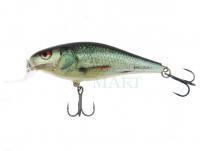 Lure Salmo Executor IEX7SR - Real Dace