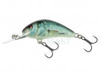 Wobler Salmo Hornet H2S - Real Dace