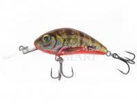 Lure Salmo Hornet Rattlin H5.5 -  Yellow Holographic Perch (YHP)