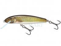 Wobler Salmo Minnow Floating 5 | 5cm 3g | 2" 1/16oz - Grayling