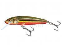 Wobler Salmo Minnow M5S - Rainbow Dace