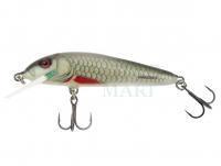 Hard Lure Salmo Minnow M6F 6cm - Dace