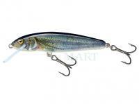 Hard Lure Salmo Minnow M6S 6cm - Spirlin