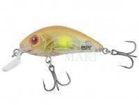 Hard Lure Salmo Rattlin Hornet Shallow SR 4.5cm 5.5g - Clear Ayu (CAYU)