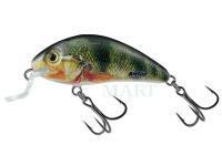 Wobler Salmo Rattlin Hornet Shallow SR 4.5cm 5.5g - Supernatural Perch (SP)