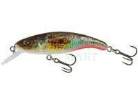 Lure Salmo Slick Stick 6cm - Supernatural Gobie