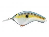 Hard Lure Shimano Bantam Macbeth Flat AR-C 57mm 9g - 008 Sexy MR