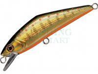 Hard Lure Smith D-Contact 50mm 4.5g - 23 G Yamame