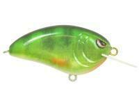 Hard Lure Spro Little John MD 50 5cm 14g - Real Perch