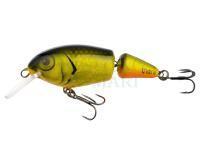 Wobler Vidra Lures Perpetual Jointed | 6.50 cm 11 g F - FYB