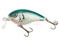 Hard Lure Vidra Lures Nautilus Shallow Runner | 6 cm 13 g SR F - GR