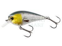 Hard Lure Westin BassBite Squarebill BassBite 1.5 | 6cm 13g - 3D Headlight