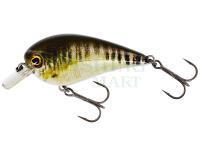 Hard Lure Westin BassBite Squarebill BassBite 1.5 | 6cm 13g - Real Minnow