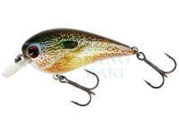 Hard Lure Westin BassBite Squarebill BassBite 1.5 | 6cm 13g - Real Pumpkinseed