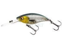 Hard Lure Westin BuzzBite Crankbait 4cm 4g Low Floating - 3D Headlight