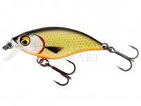 Hard Lure Westin BuzzBite SR Crankbait 4cm 4g Low Floating - Official Roach