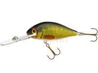 Lure Jaxon Holo Select Fighter UV SDR 8cm - PG