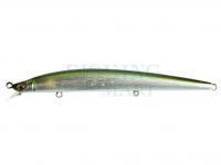 Wobler Megabass X-120 | 12cm 11.4g Slow Floating - Wagin AYU