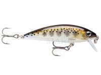 Lure Rapala X-Rap CountDown 5cm - Muddler