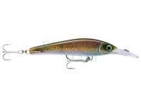 Hard lure Rapala X-Rap Magnum Xtreme 16cm - HD Squid