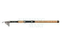 Rod DAM Iconic2 Backbone Tele Rod 2.70m 50-100g