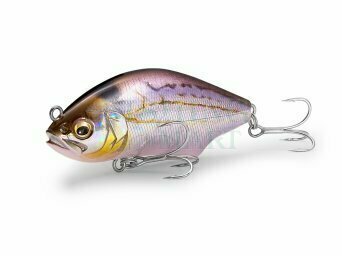 Megabass, Penn, Preston