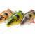 Savage Gear Lures 4D Line Thru Perch