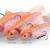 Savage Gear Lures 4D Rattle Trout