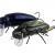 Microbait Woblery smużaki Beetle